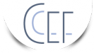 Excellien partenaire CCEF Expert-Comptable à Versailles 78000, Paris 17e arrondissement (75017), Charleville-Mézières (08000), Cannes (06400)