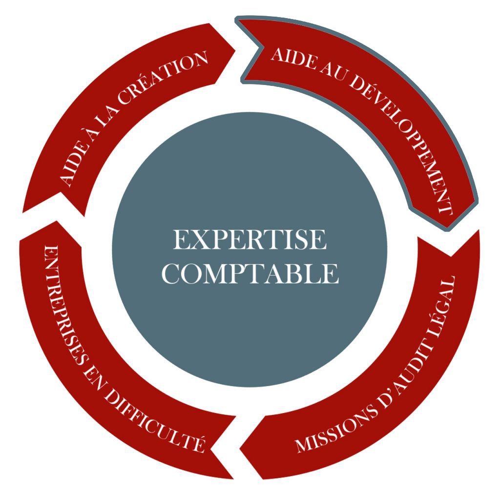 Excellien Aide au Développement Expert-Comptable à Versailles 78000, Paris 17e arrondissement (75017), Charleville-Mézières (08000), Cannes (06400)