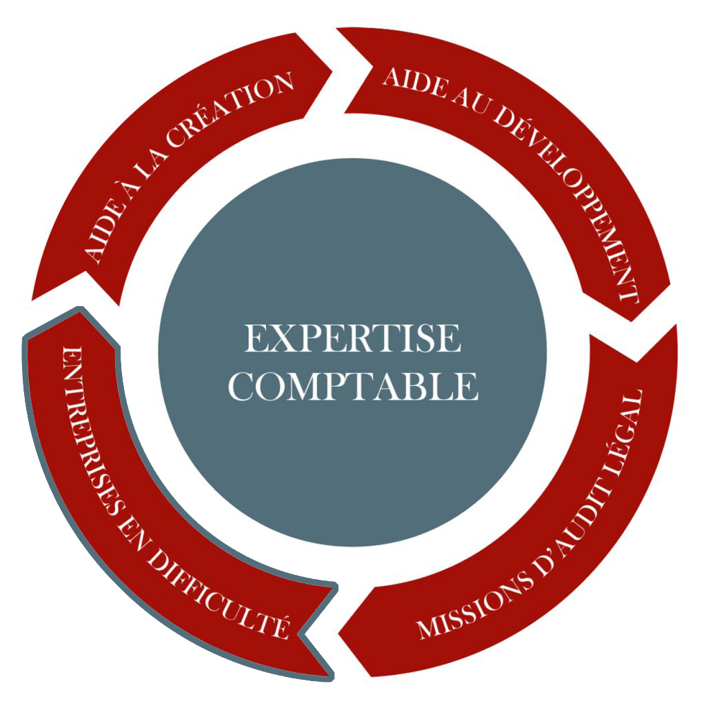 Excellien Entreprise en difficulté Expert-Comptable à Versailles 78000, Paris 17e arrondissement (75017), Charleville-Mézières (08000), Cannes (06400)